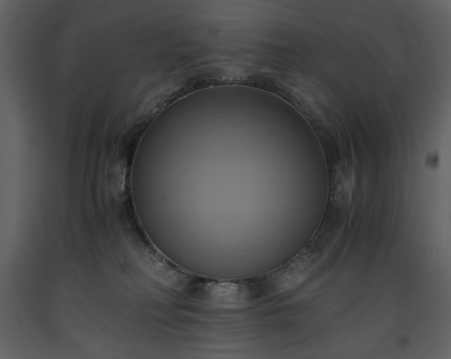 X0000093610230200710221613
