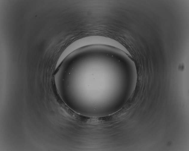 X0000093610231200710221613