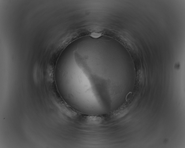X0000093610234200710221613