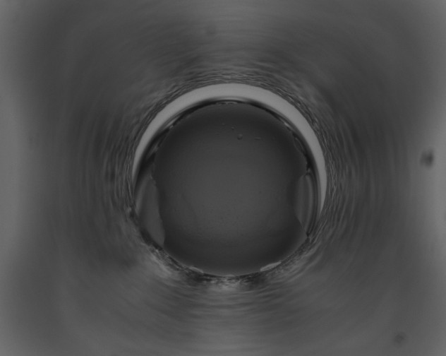 X0000093610235200710221613