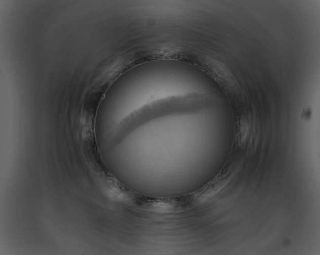 X0000093610236200710221613