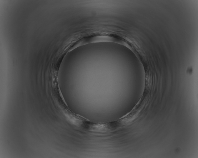 X0000093610237200710221613