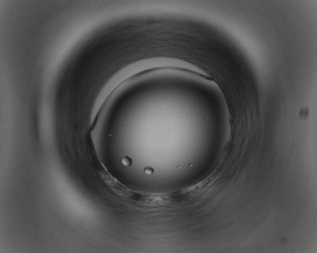 X0000093610239200710221613