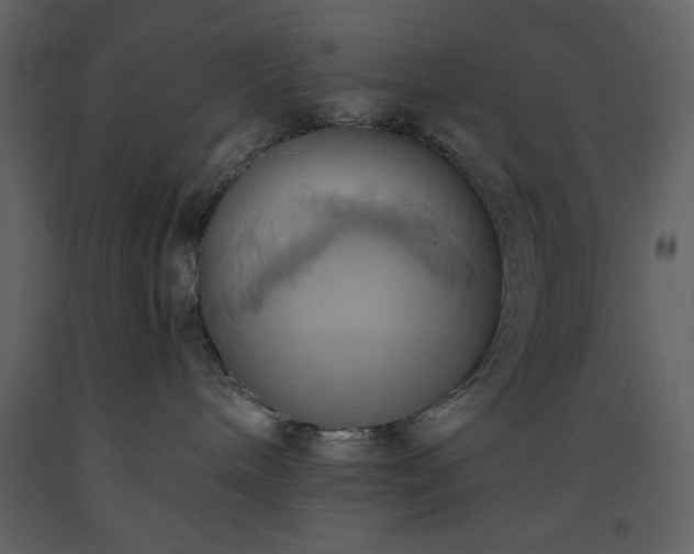 X0000093610240200710221613