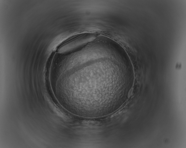 X0000093610242200710221613