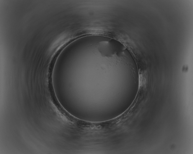 X0000093610243200710221613