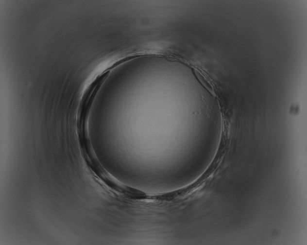 X0000093610244200710221613