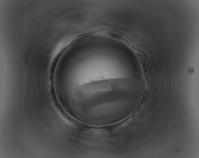 X0000093610245200710221613