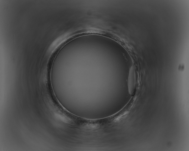 X0000093610247200710221613