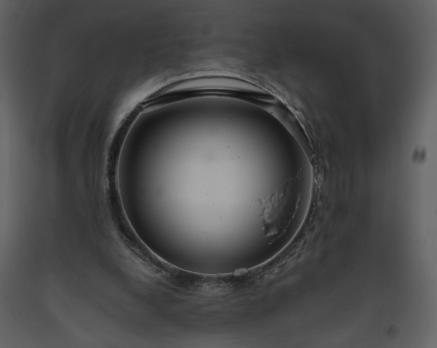 X0000093610248200710221613
