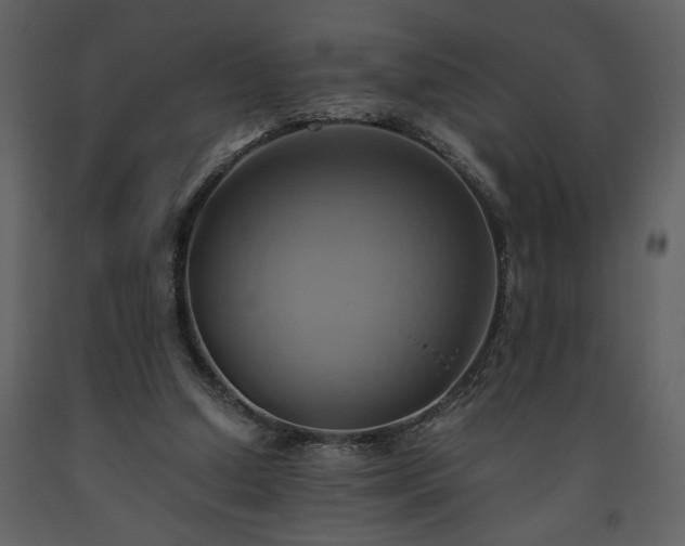X0000093610250200710221613