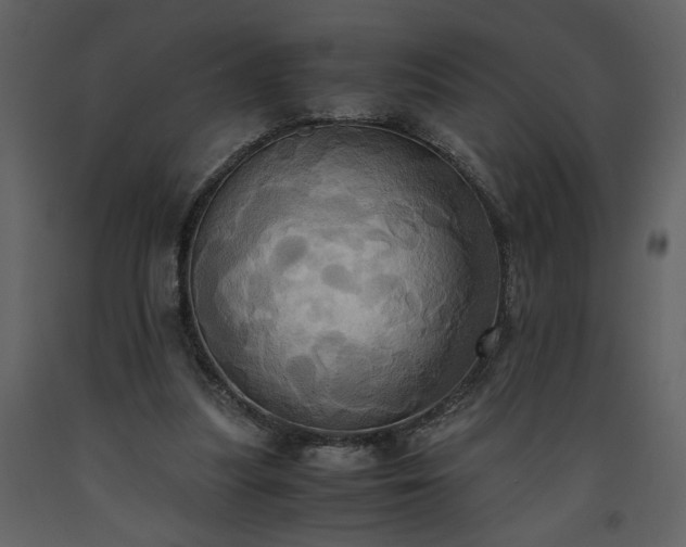 X0000093610251200710221613