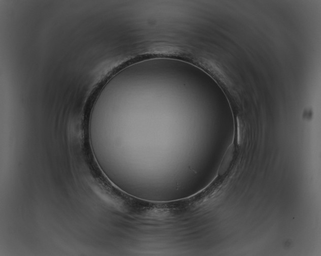 X0000093610252200710221613