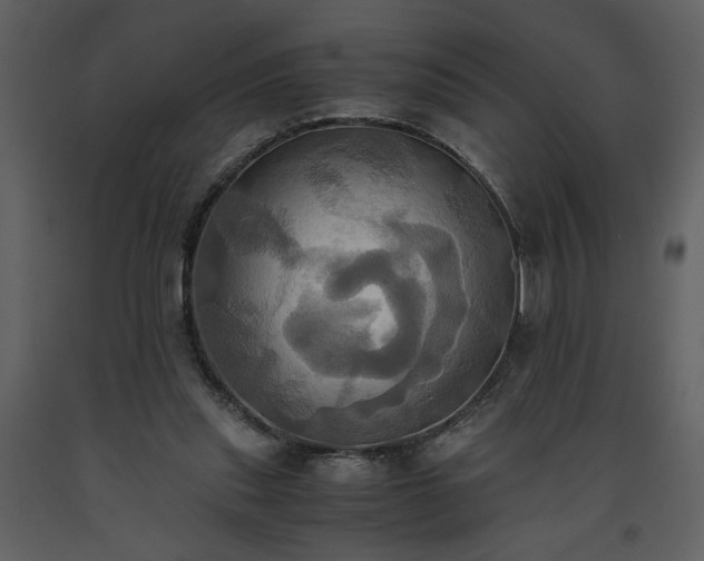 X0000093610253200710221613