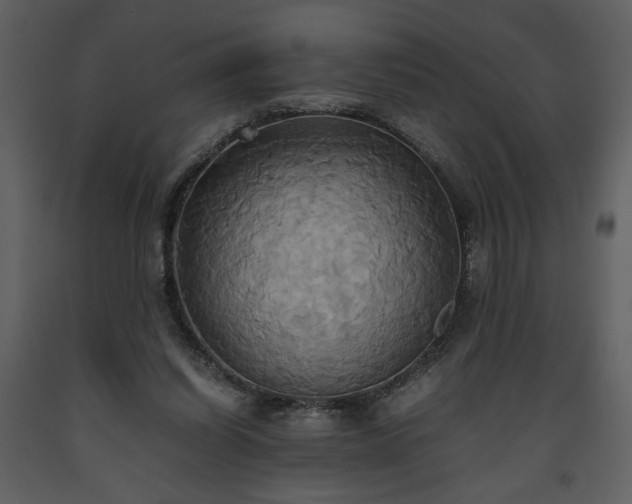 X0000093610254200710221613