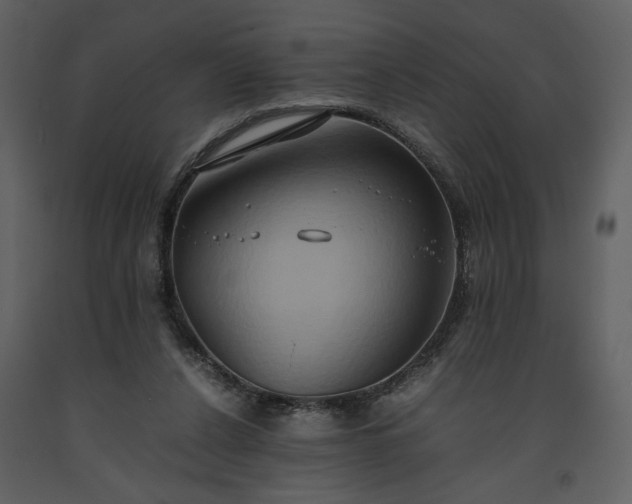 X0000093610256200710221613