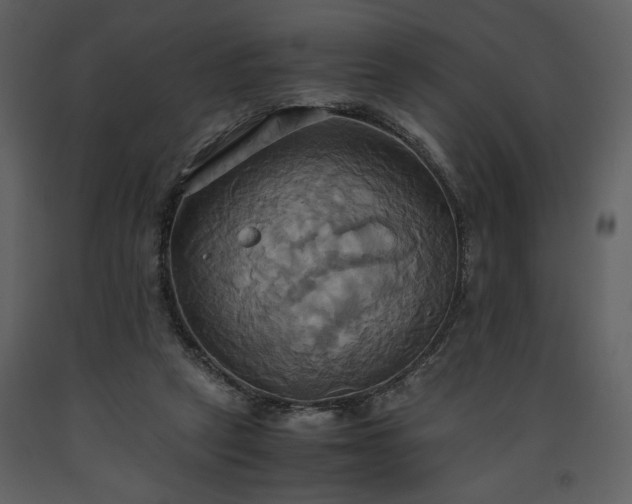 X0000093610257200710221613