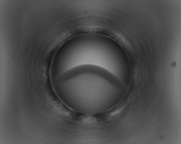 X0000093610258200710221613