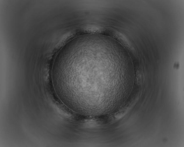 X0000093610259200710221613