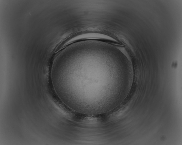 X0000093610260200710221613