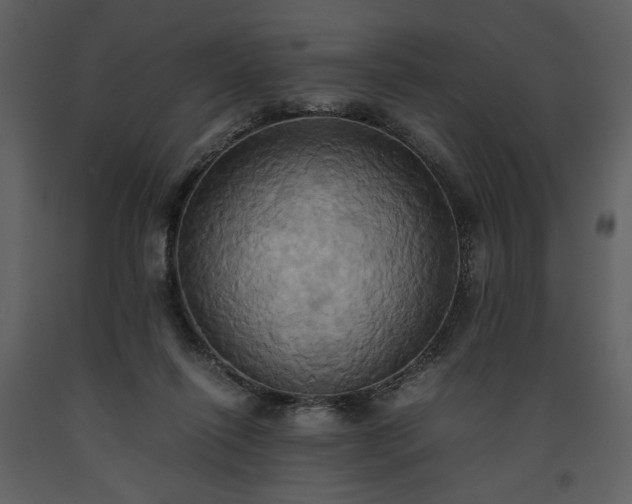 X0000093610262200710221613