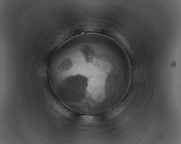 X0000093610265200710221613