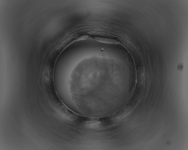 X0000093610266200710221613