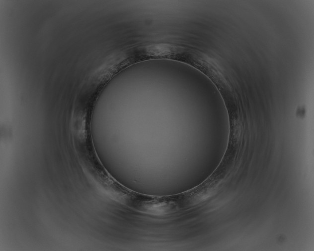 X0000093610267200710221613