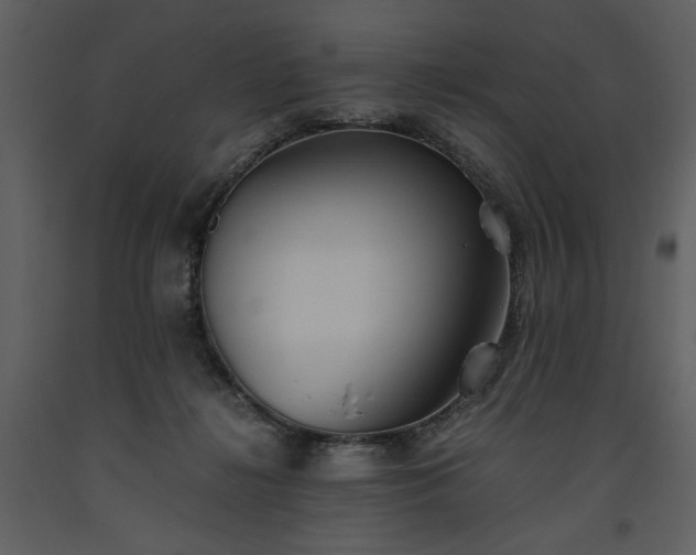 X0000093610268200710221613