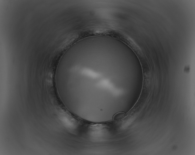 X0000093610269200710221613