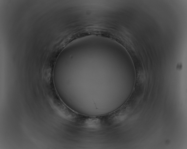X0000093610271200710221613