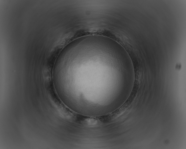 X0000093610272200710221613