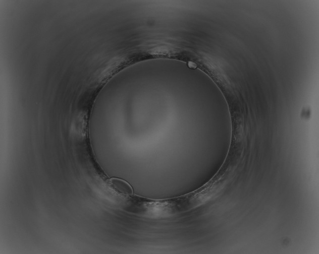 X0000093610273200710221613