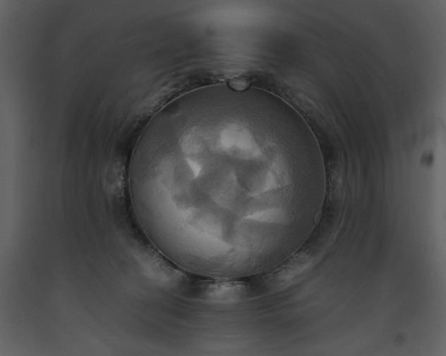X0000093610274200710221613