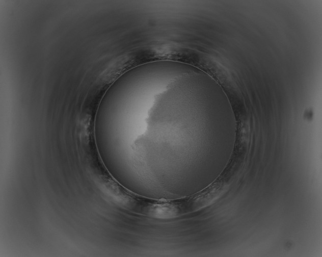 X0000093610275200710221613