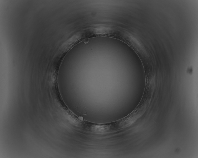 X0000093610277200710221613