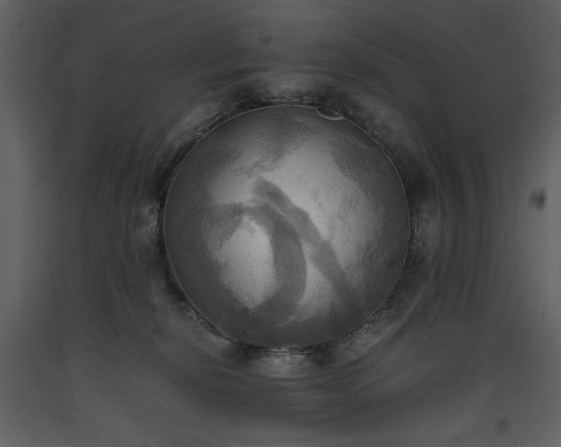 X0000093610278200710221613