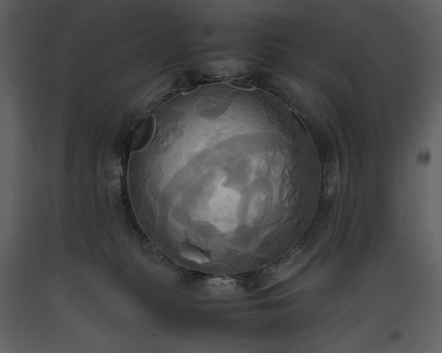 X0000093610279200710221613