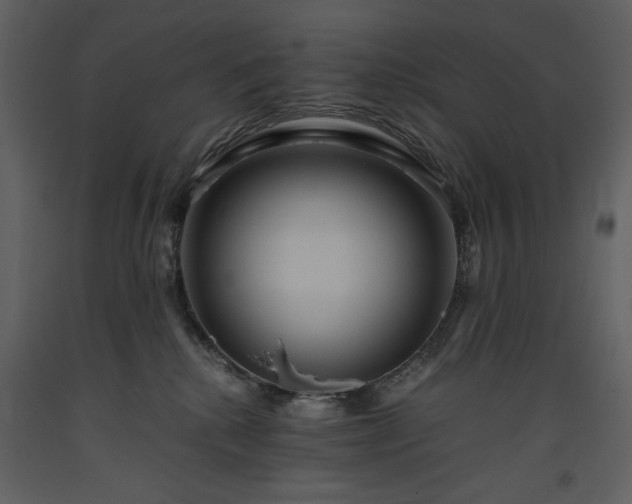 X0000093610280200710221613
