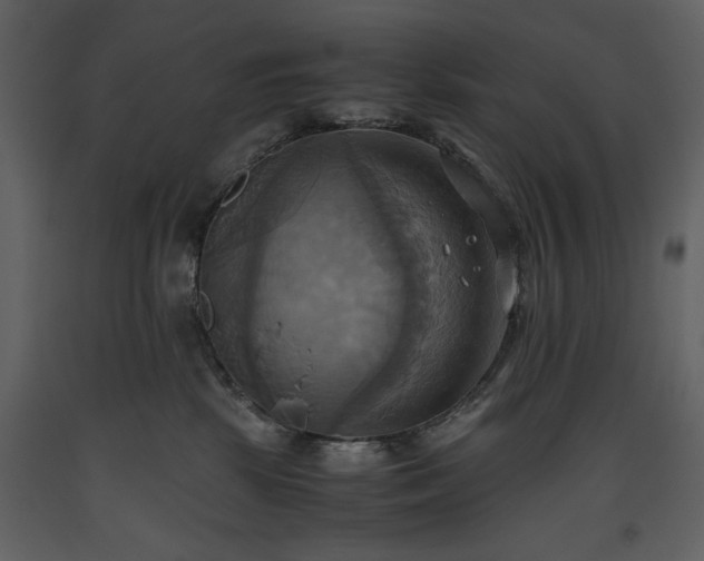 X0000093610281200710221613