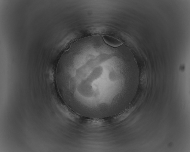 X0000093610282200710221613