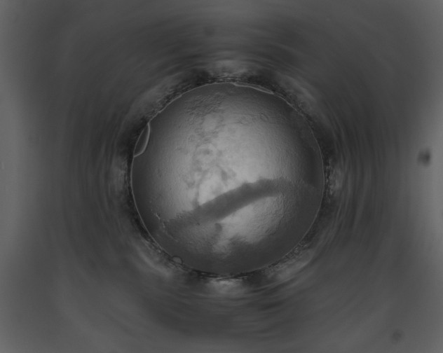 X0000093610283200710221613