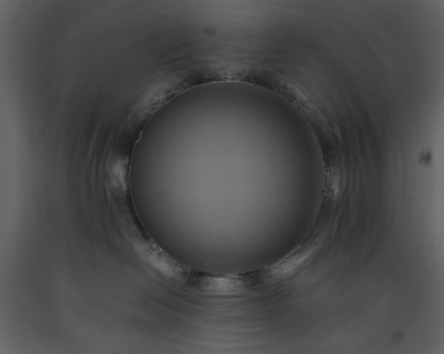 X0000093610286200710221613
