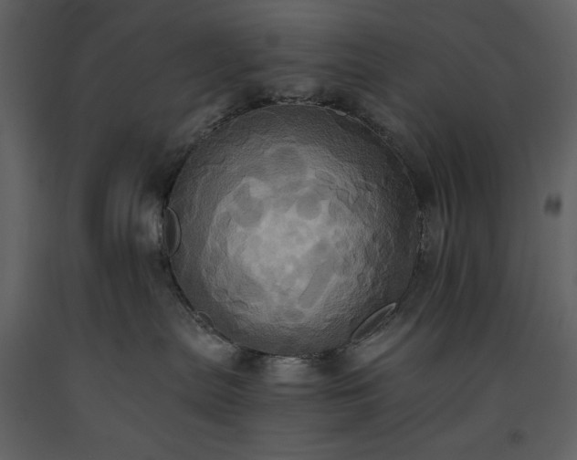 X0000093610287200710221613
