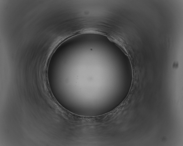 X0000093610289200710221613