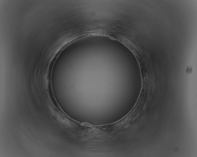 X0000093610290200710221613