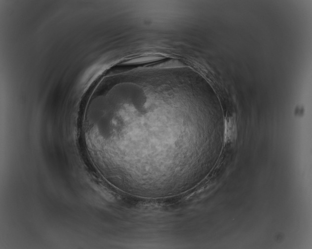 X0000093610291200710221613