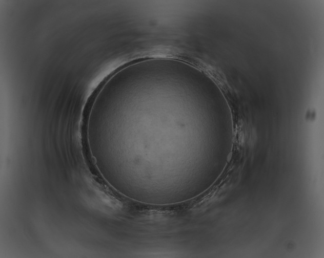 X0000093610292200710221613