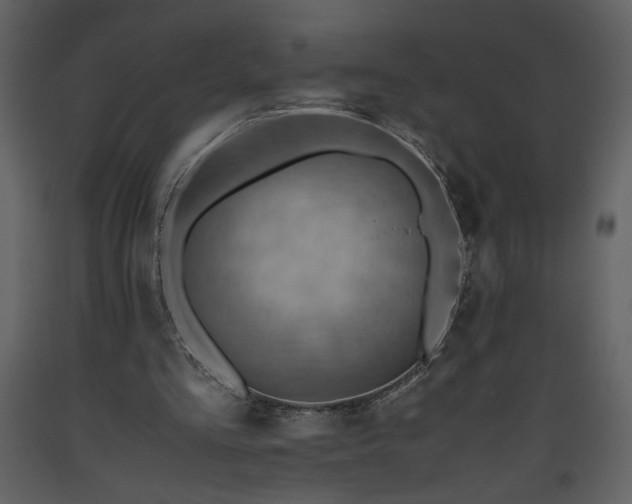 X0000093610293200710221612