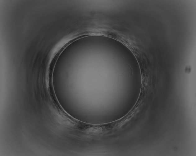 X0000093610294200710221612